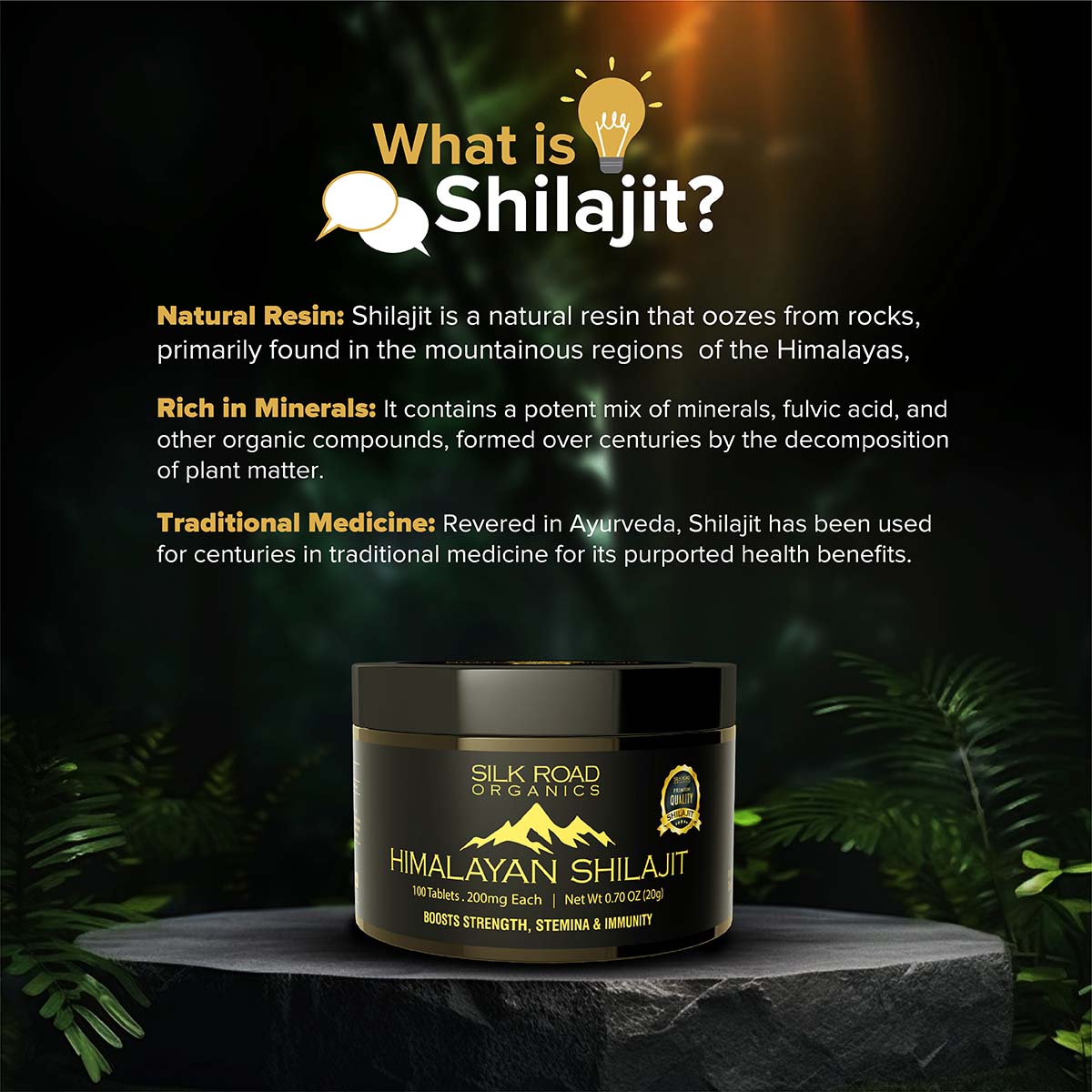 Pure Himalayan Shilajit 100 Pills Jar