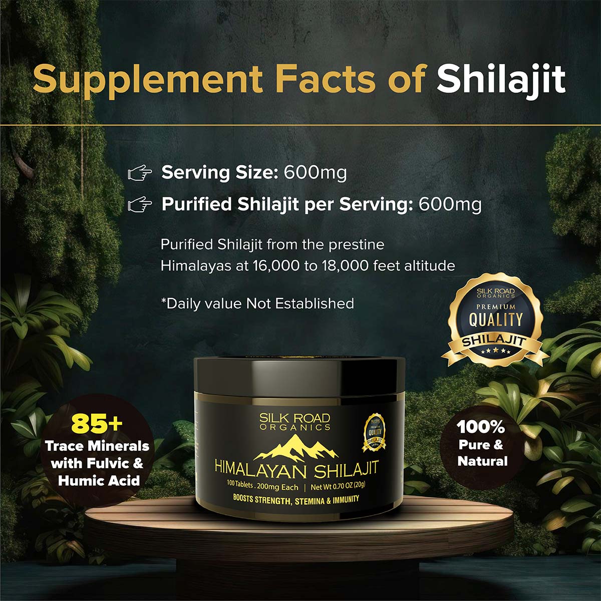 Pure Himalayan Shilajit 100 Pills Jar