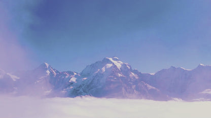 🌿 Pure Himalayan Shilajit Soft Resin